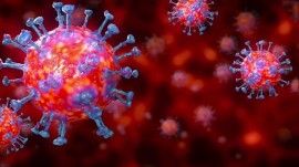 VIRUS PROOF YOUR VEHICLE'S INTERIOR FOR GOOD.