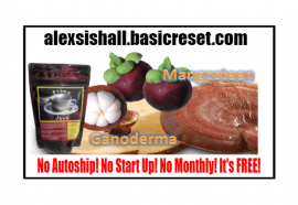 ** LATEST NEWS** BASIC RESET OPPORTUNITY REVIEW SCAM OR KOSHER | THE WHOLE TRUTH BY ALEXSIS HALL