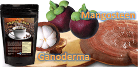 Basic Reset Opportunity Review | Ganoderma Coffee Review With Mangosteen
