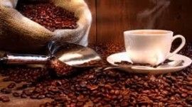 Basic Reset Review | Primo Java Healthy Coffee | Ganoderma